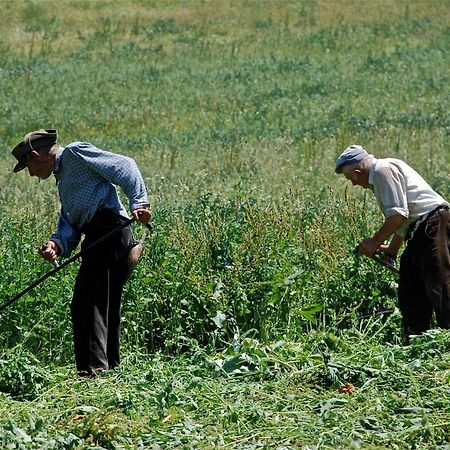 图瑞斯姆茹若罗芭乐加尔博世公寓 Llagunes 外观 照片